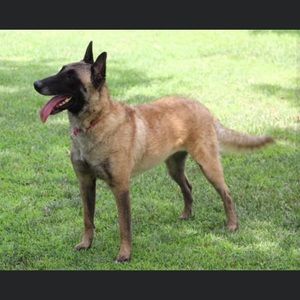 Meet your Posher, Don